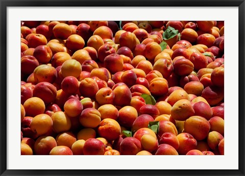 Framed Nectarines for sale at weekly market, St.-Remy-de-Provence, Bouches-Du-Rhone, Provence-Alpes-Cote d&#39;Azur, France Print