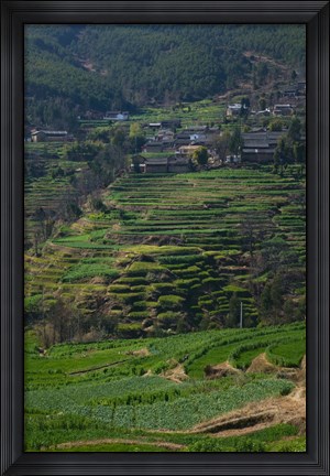 Framed Houses with terraced fields at mountainside, Heqing, Yunnan Province, China Print