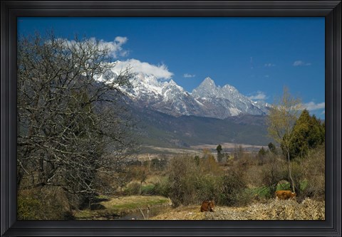 Framed Jade Dragon Snow Mountain viewed from Baisha, Lijiang, Yunnan Province, China Print