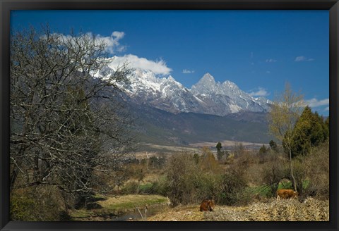 Framed Jade Dragon Snow Mountain viewed from Baisha, Lijiang, Yunnan Province, China Print