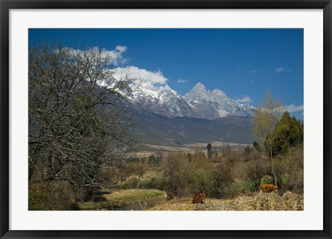 Framed Jade Dragon Snow Mountain viewed from Baisha, Lijiang, Yunnan Province, China Print