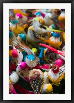 Framed Artificial birds for sale at a market stall, Yuen Po Street Bird Garden, Mong Kok, Kowloon, Hong Kong Print