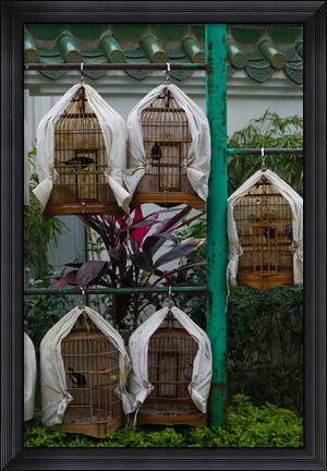 Framed Birds in cages for sale at a bird market, Yuen Po Street Bird Garden, Mong Kok, Kowloon, Hong Kong Print