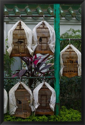 Framed Birds in cages for sale at a bird market, Yuen Po Street Bird Garden, Mong Kok, Kowloon, Hong Kong Print