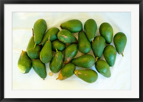 Framed Avocados in a bunch, Santa Paula, Ventura County, California, USA Print