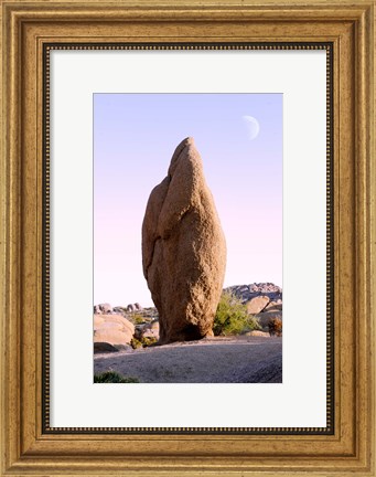 Framed Rock formations at Joshua Tree National Park, California, USA Print