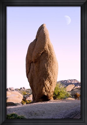 Framed Rock formations at Joshua Tree National Park, California, USA Print
