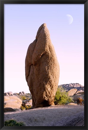 Framed Rock formations at Joshua Tree National Park, California, USA Print