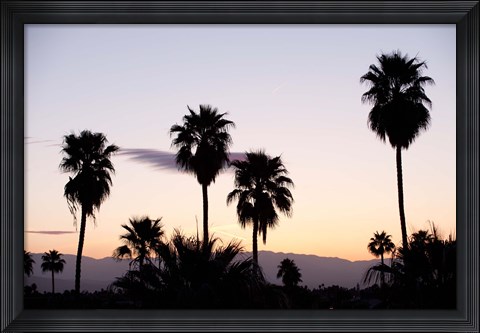 Framed Silhouette of palm trees at dusk, Palm Springs, Riverside County, California, USA Print