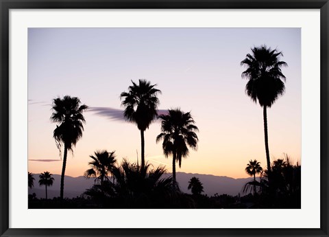 Framed Silhouette of palm trees at dusk, Palm Springs, Riverside County, California, USA Print