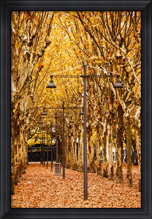 Framed Esplanade des Quinconces park in autumn, Bordeaux, Gironde, Aquitaine, France Print