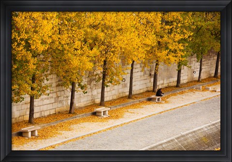 Framed Riverfront, Ile de la Cite, Paris, Ile-de-France, France Print