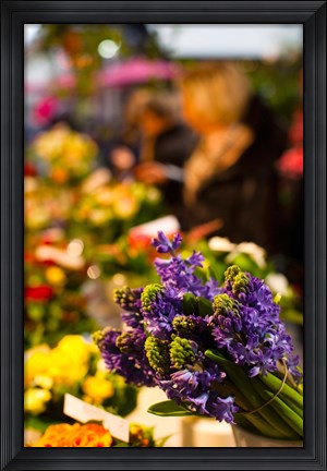 Framed Bunch of flowers at a flower shop, Rue De Buci, Paris, Ile-de-France, France Print