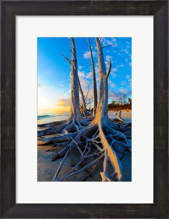 Framed Lovers Key State Park, Lee County, Florida Print
