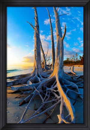 Framed Lovers Key State Park, Lee County, Florida Print