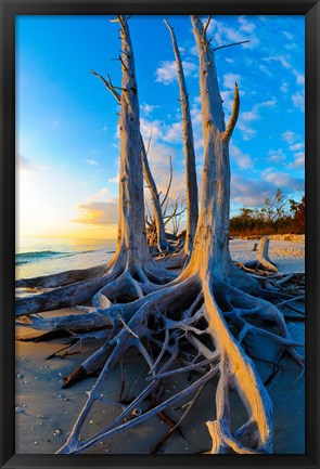 Framed Lovers Key State Park, Lee County, Florida Print