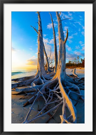 Framed Lovers Key State Park, Lee County, Florida Print