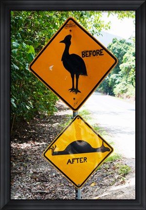 Framed Warning sign at the roadside, Cape Tribulation, Queensland, Australia Print