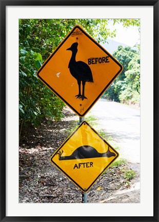 Framed Warning sign at the roadside, Cape Tribulation, Queensland, Australia Print