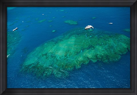 Framed Aerial view of coral reef in the pacific ocean, Great Barrier Reef, Queensland, Australia Print