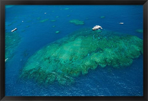 Framed Aerial view of coral reef in the pacific ocean, Great Barrier Reef, Queensland, Australia Print