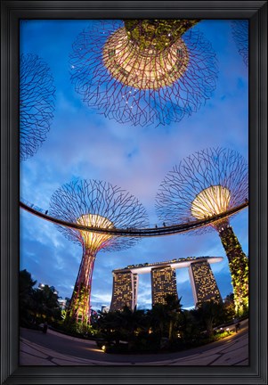Framed Elevated walkway at Gardens by the Bay, Singapore Print