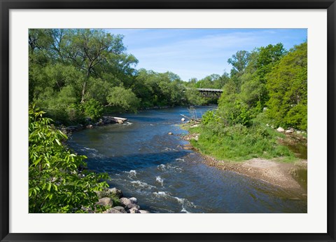 Framed River passing through a forest, Beaver River, Ontario, Canada Print