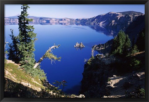 Framed Red Elderberry (Sambucus racemosa) with Phantom Ship island in Crater Lake, Crater Lake National Park, Oregon, USA Print