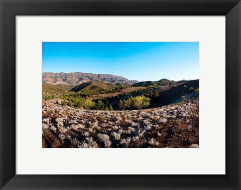Framed Typical outback landscape, Hawker, Flinders Ranges National Park, South Australia, Australia Print