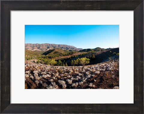 Framed Typical outback landscape, Hawker, Flinders Ranges National Park, South Australia, Australia Print