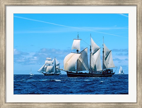 Framed Tall ship regatta, France Print