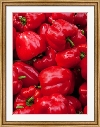Framed Red bell peppers for sale at weekly market, Arles, Bouches-Du-Rhone, Provence-Alpes-Cote d&#39;Azur, France Print