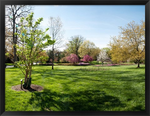 Framed Sherwood Gardens, Baltimore Print