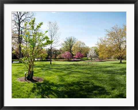 Framed Sherwood Gardens, Baltimore Print