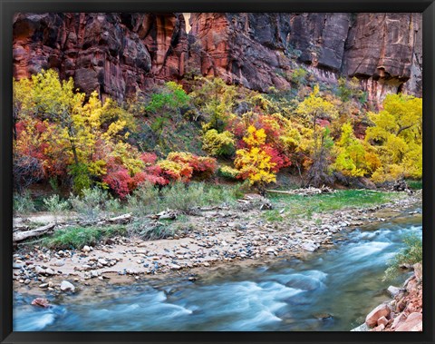 Framed Virgin River and rock face at Big Bend, Zion National Park, Springdale, Utah, USA Print