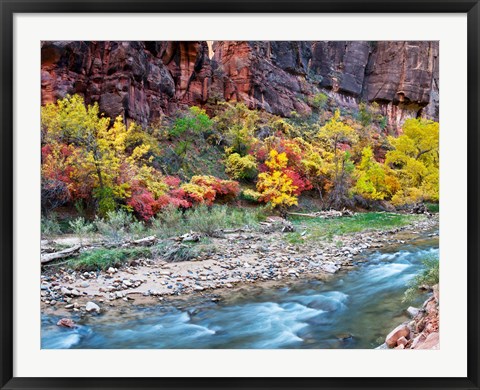 Framed Virgin River and rock face at Big Bend, Zion National Park, Springdale, Utah, USA Print