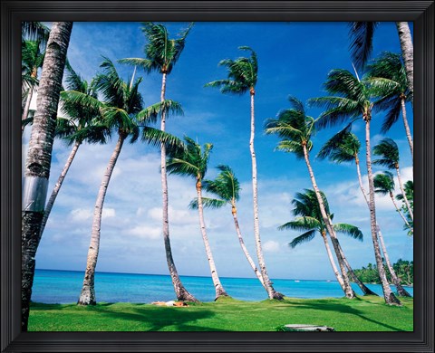 Framed Palm trees Turkey Print