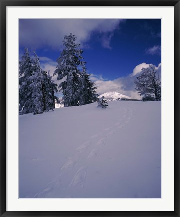 Framed Snowshoe tracks on snow, Mt. Scott, Crater Lake National Park, Oregon, USA Print