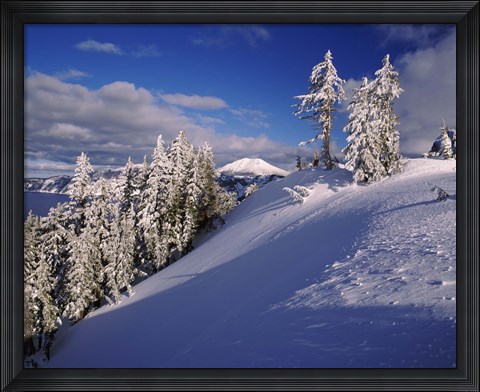 Framed Snow covered trees in winter, Mt. Scott, Crater Lake National Park, Oregon, USA Print