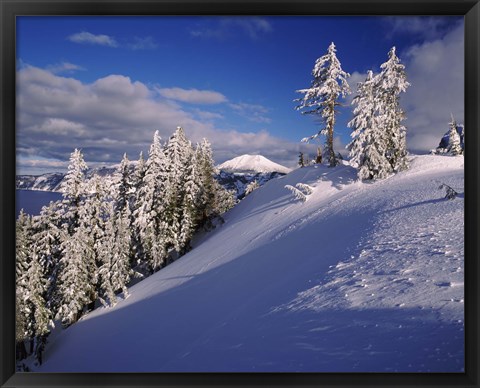 Framed Snow covered trees in winter, Mt. Scott, Crater Lake National Park, Oregon, USA Print