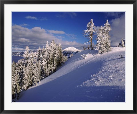 Framed Snow covered trees in winter, Mt. Scott, Crater Lake National Park, Oregon, USA Print