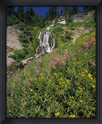 Framed Fireweed at Vidae Falls, Crater Lake National Park, Oregon, USA Print