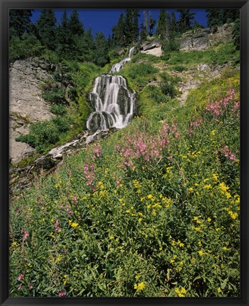 Framed Fireweed at Vidae Falls, Crater Lake National Park, Oregon, USA Print