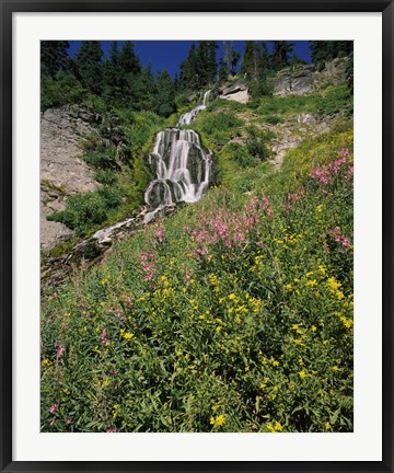 Framed Fireweed at Vidae Falls, Crater Lake National Park, Oregon, USA Print
