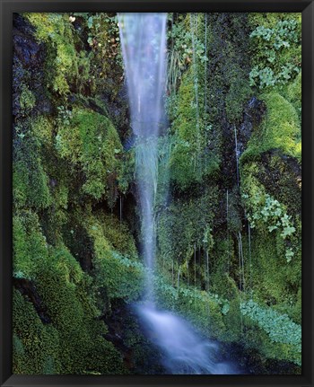 Framed Wheeler Creek Waterfall on Dutton Ridge, Crater Lake National Park, Oregon, USA Print