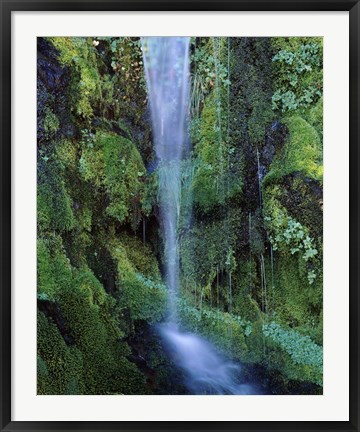 Framed Wheeler Creek Waterfall on Dutton Ridge, Crater Lake National Park, Oregon, USA Print