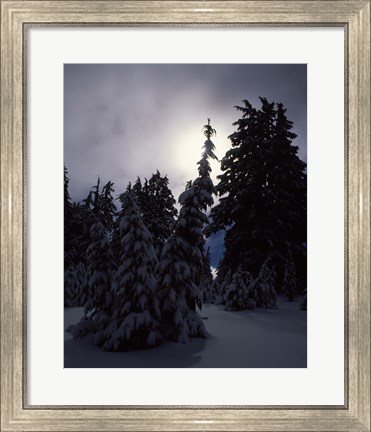 Framed Munson Ridge, Crater Lake National Park, Oregon Print