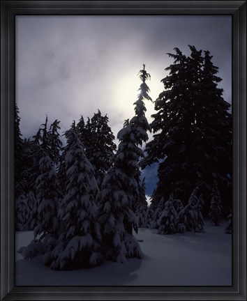Framed Munson Ridge, Crater Lake National Park, Oregon Print
