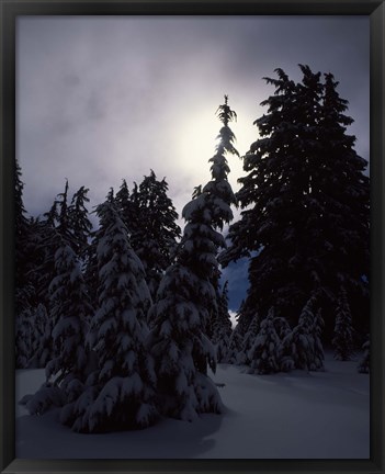 Framed Munson Ridge, Crater Lake National Park, Oregon Print