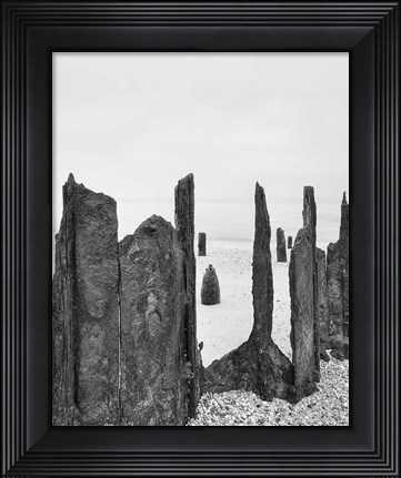 Framed Bay Wraiths Print